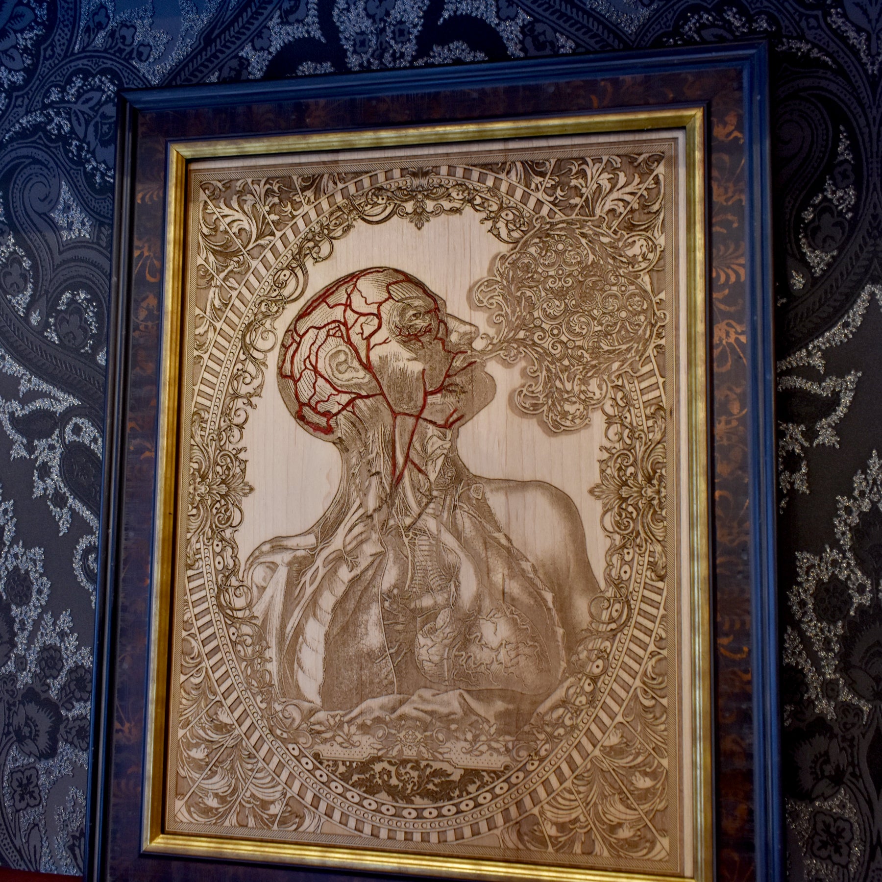 Menschliche Anatomie - Groß
