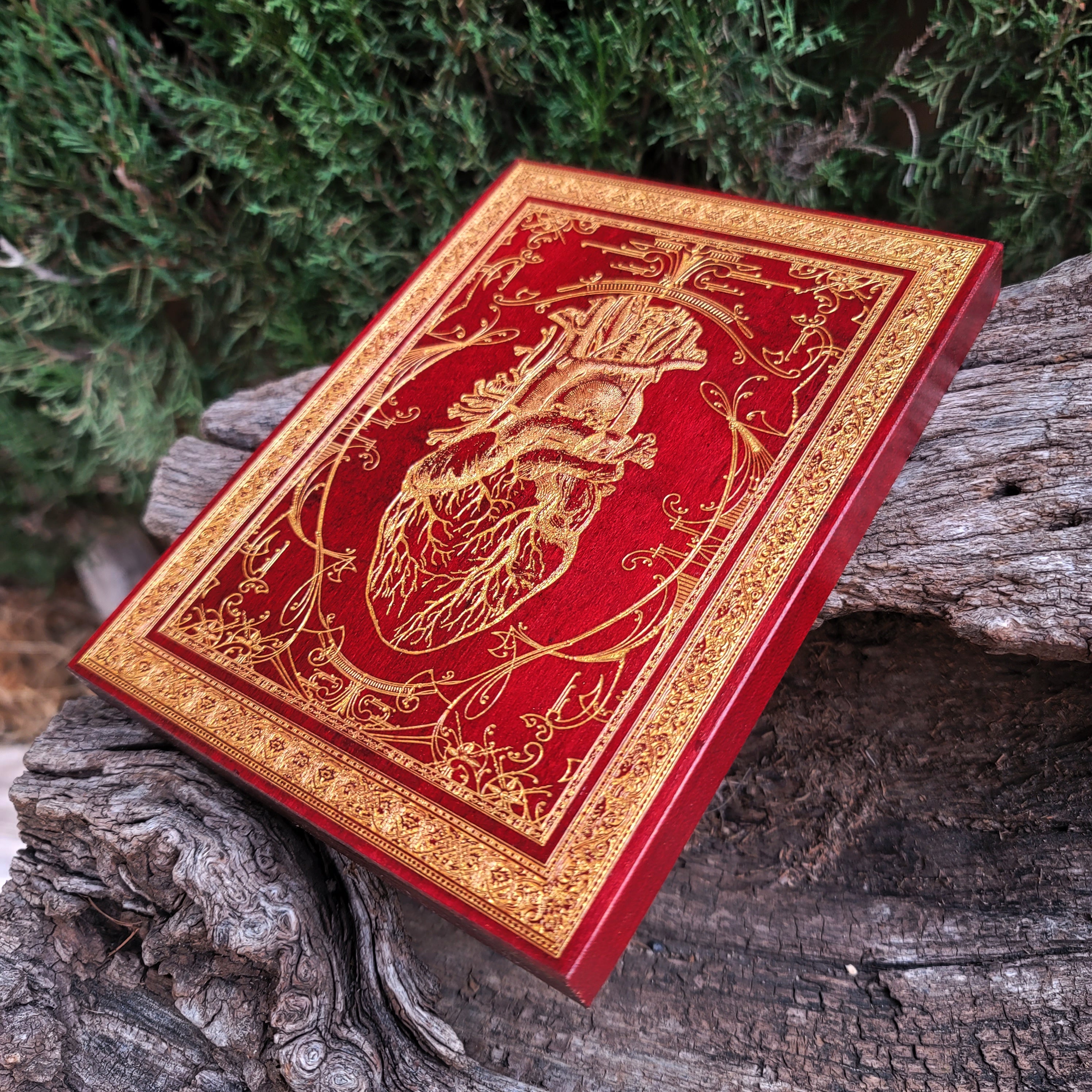 Medical anatomy heart illustration painted in red with gold highlights on wood.