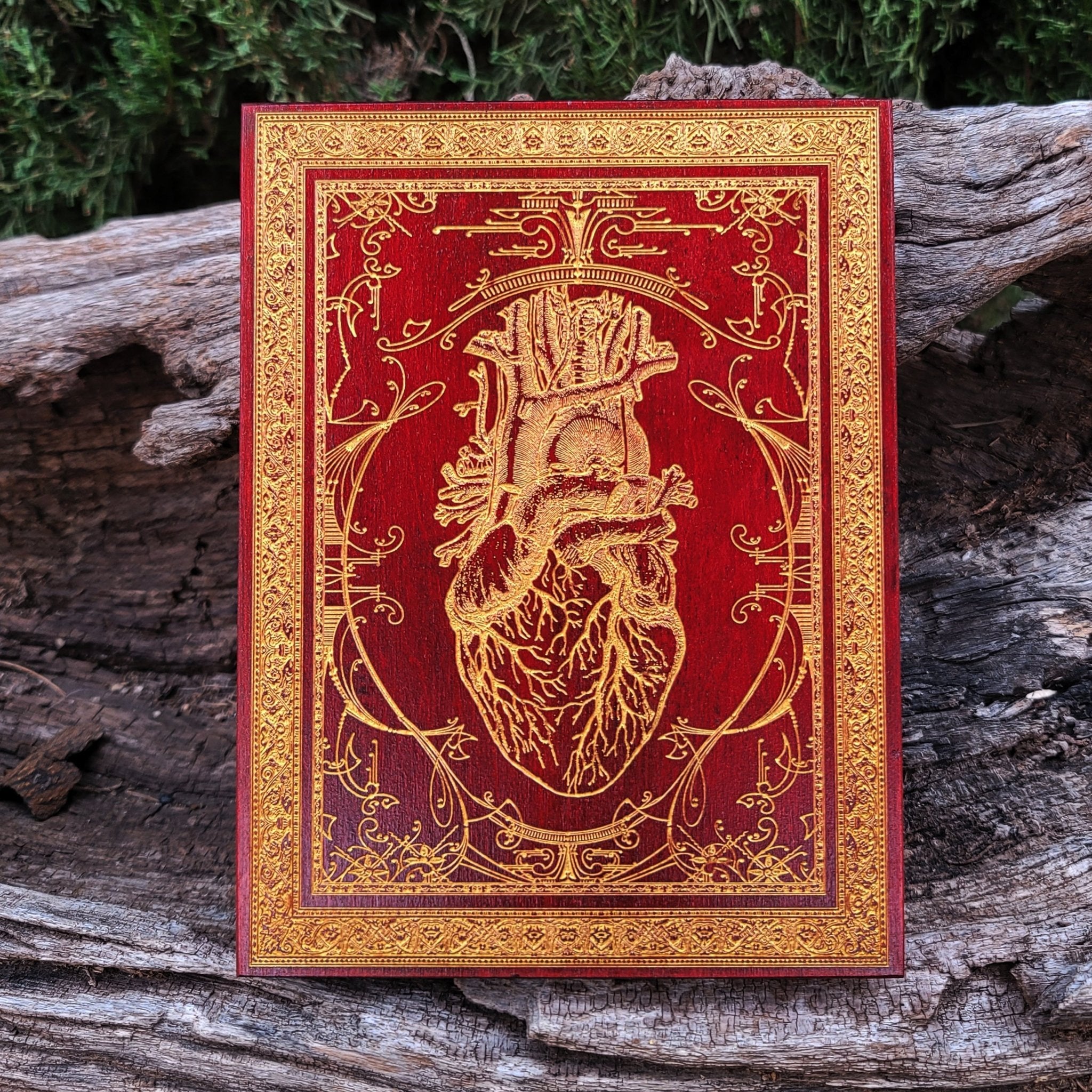 Hand-painted anatomical heart artwork on wood with vibrant red paint and gold filling.