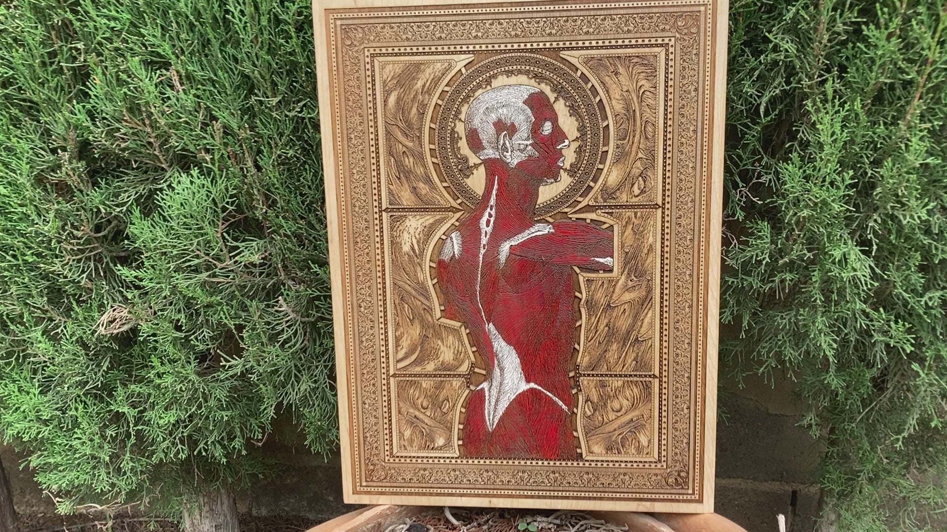 Trapped Anatomical Art - Large