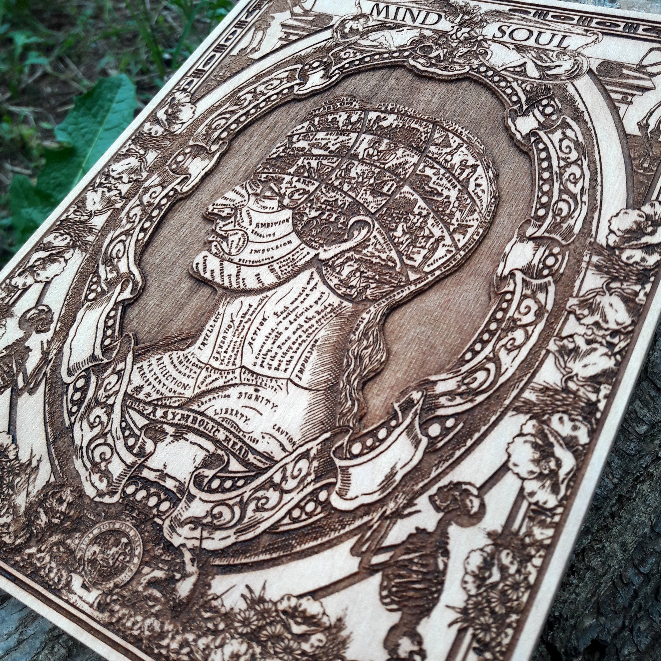 Gothic-inspired anatomical skull wall art, engraved on wood – a unique gift for medical professionals and anatomy enthusiasts.