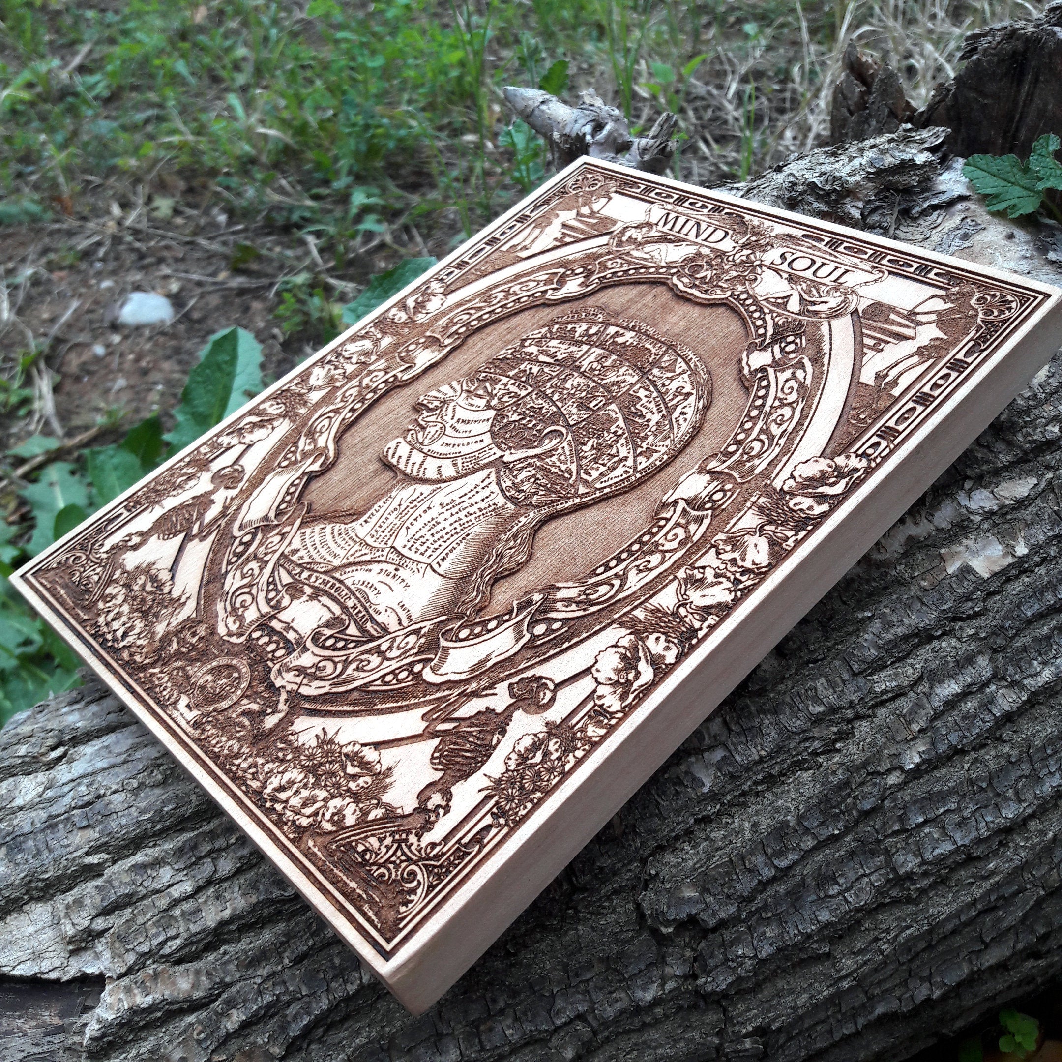 Symbolic skull art on wood – handcrafted medical illustration, perfect for doctors, nurses, and anatomy lovers.