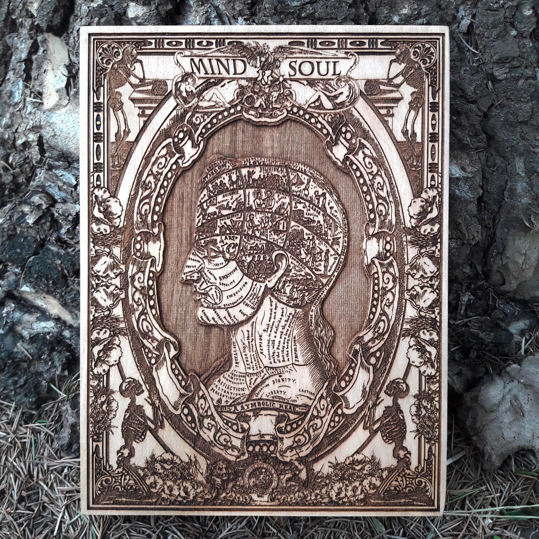 Hand-engraved anatomical skull artwork on wood – perfect for med students, doctors, and vintage medical decor lovers.