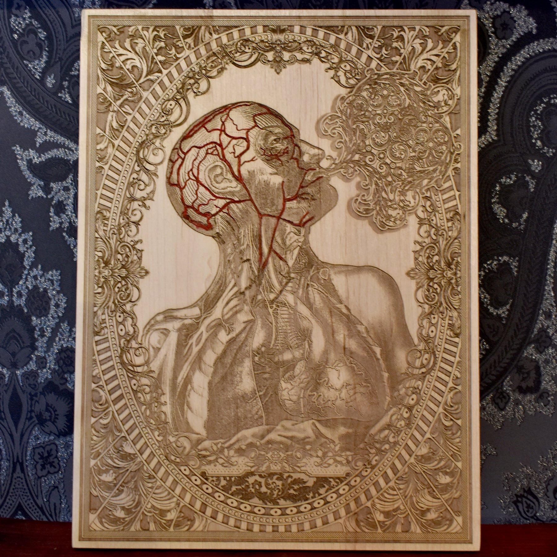 Menschliche Anatomie - Groß