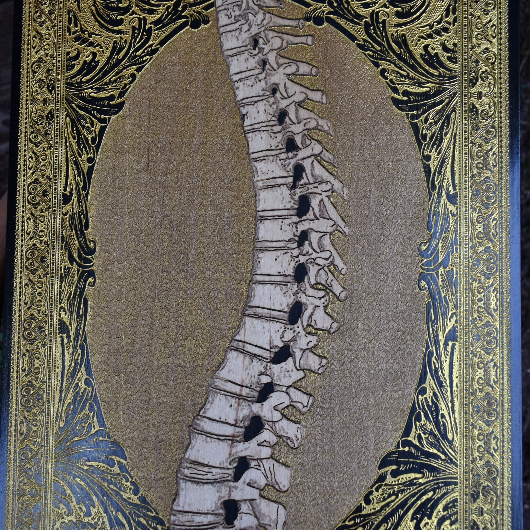 Spinney Gold Filling  Limited Edition - Extra Large