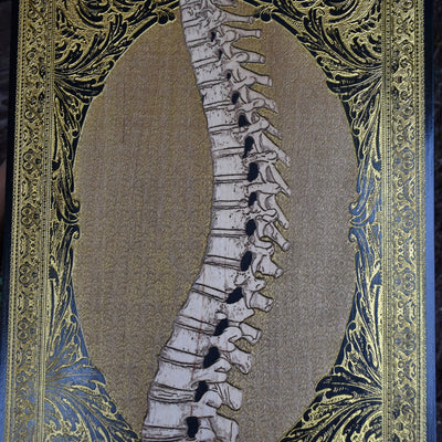 Spinney Gold Filling Limited Edition - Extra Large – gothic art, engraved wood, dark fantasy, skeleton design, artisan crafted