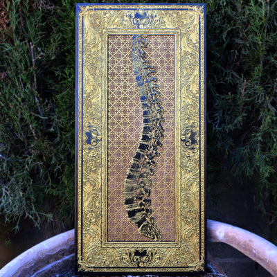 Gothic anatomical spine wall art engraved on wood