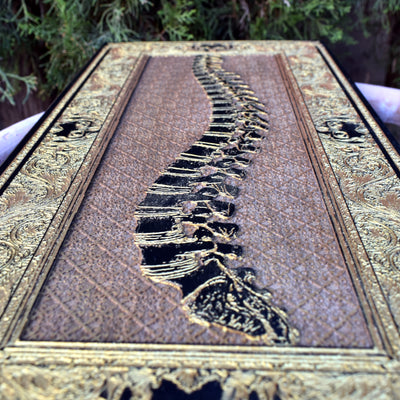 Gothic vertebrae spine illustration wood panel decor