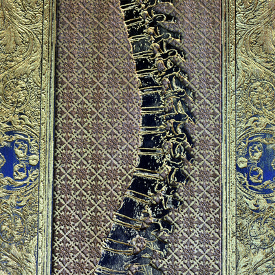 Anatomical art of human spine in engraved wood style