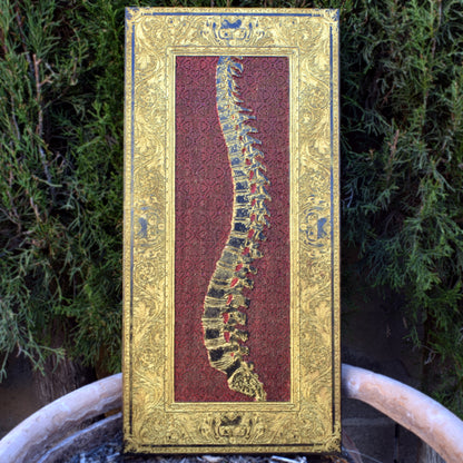 Red spine anatomical wood wall art with gothic gold detail