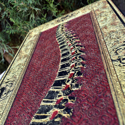 Medical spine wall piece with luxurious red and gold design