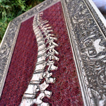 Load image into Gallery viewer, Spinney -  Large Maple Red Filling Variant
