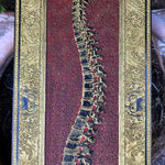 Load image into Gallery viewer, Spinney -  Large Dark Gold Filling Red Pattern Variant
