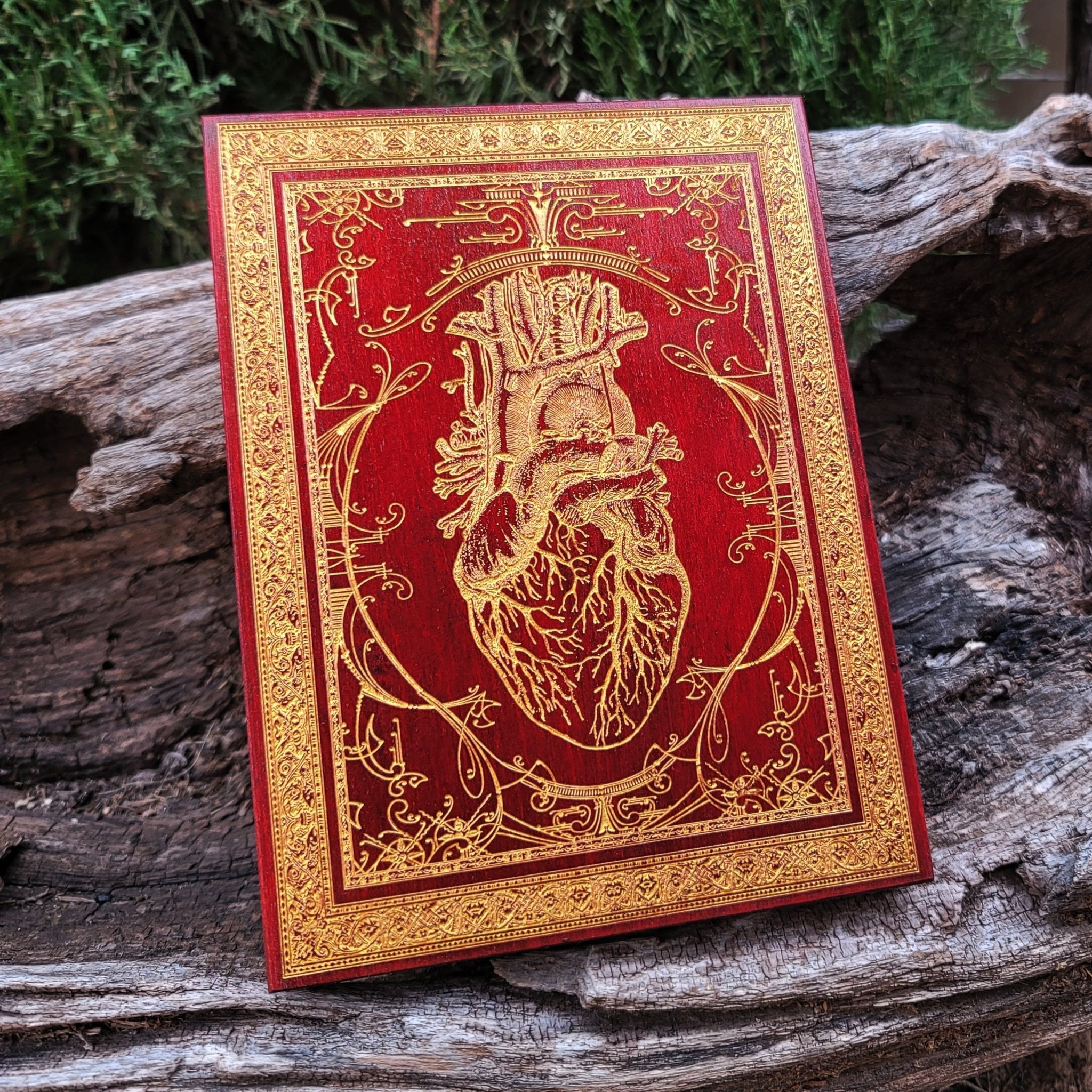 Unique wood anniversary gift: anatomical heart art with a red finish and gold filling.