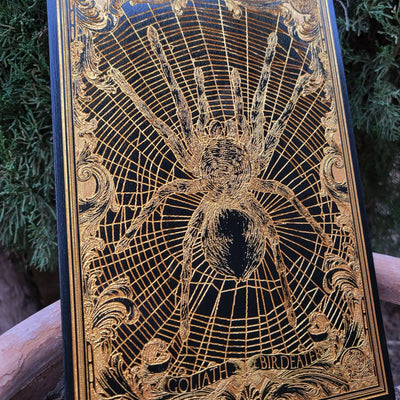 Giant spider wall decor – Goliath birdeater design engraved in rich detail.