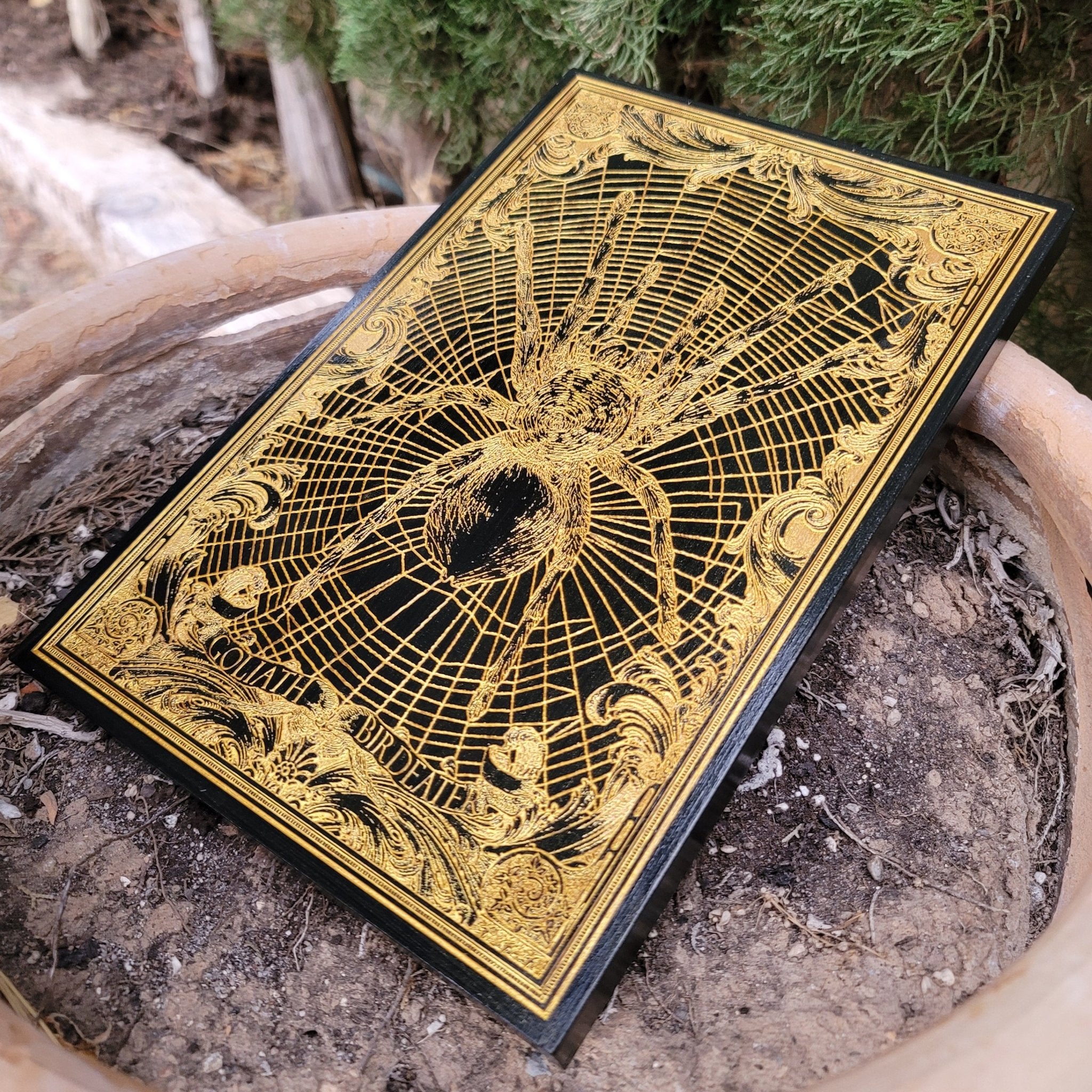 Goliath tarantula spider wood wall art with shimmering gold and black finish.