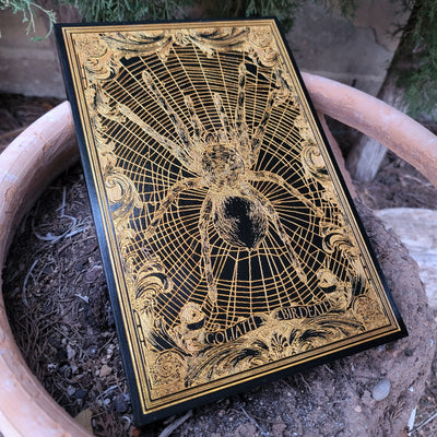 Laser-engraved Goliath spider design on black-stained wood panel.