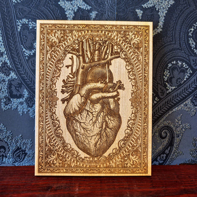 Decorative anatomical heart design on a patterned background