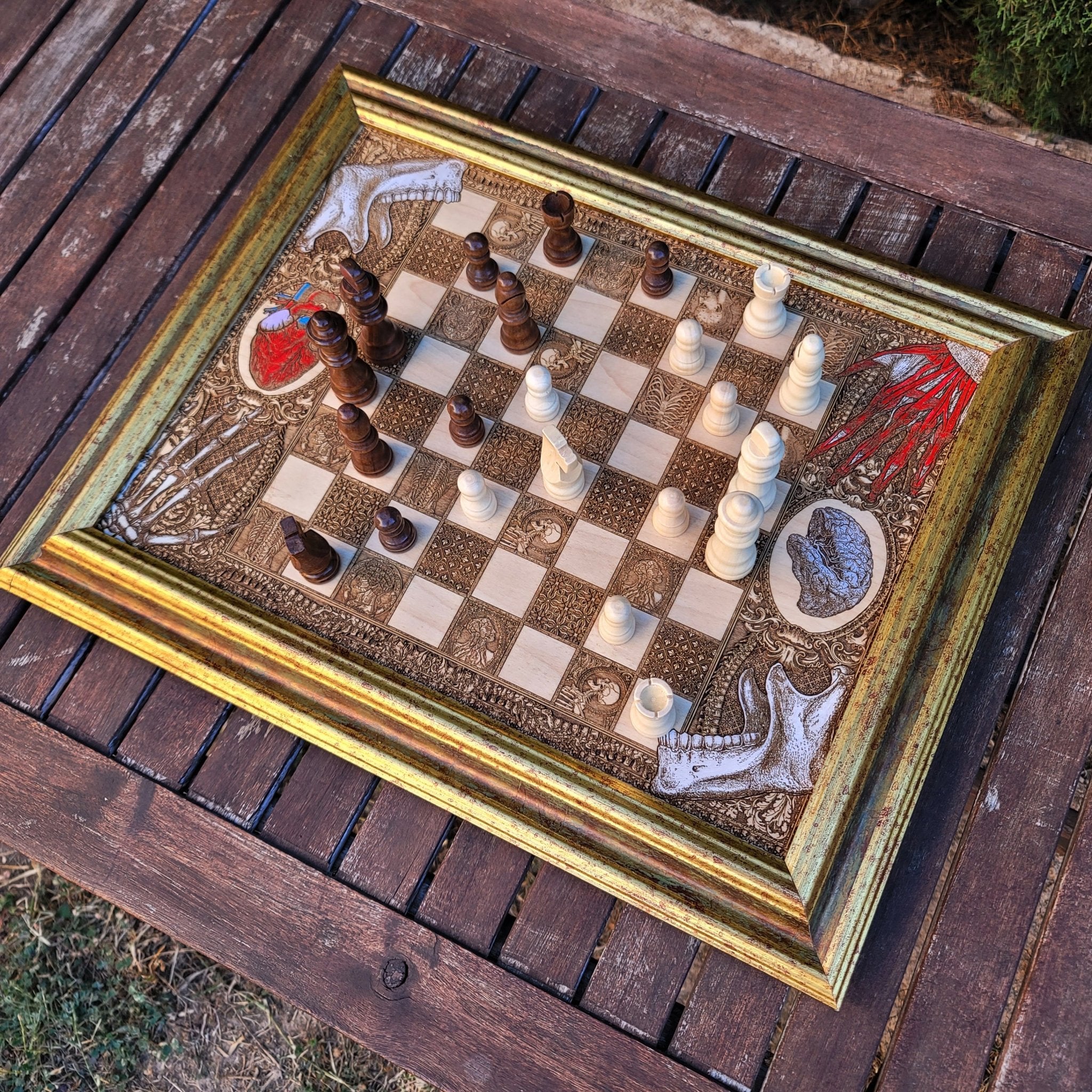 Human Anatomy Chess Board - A3 Large Size