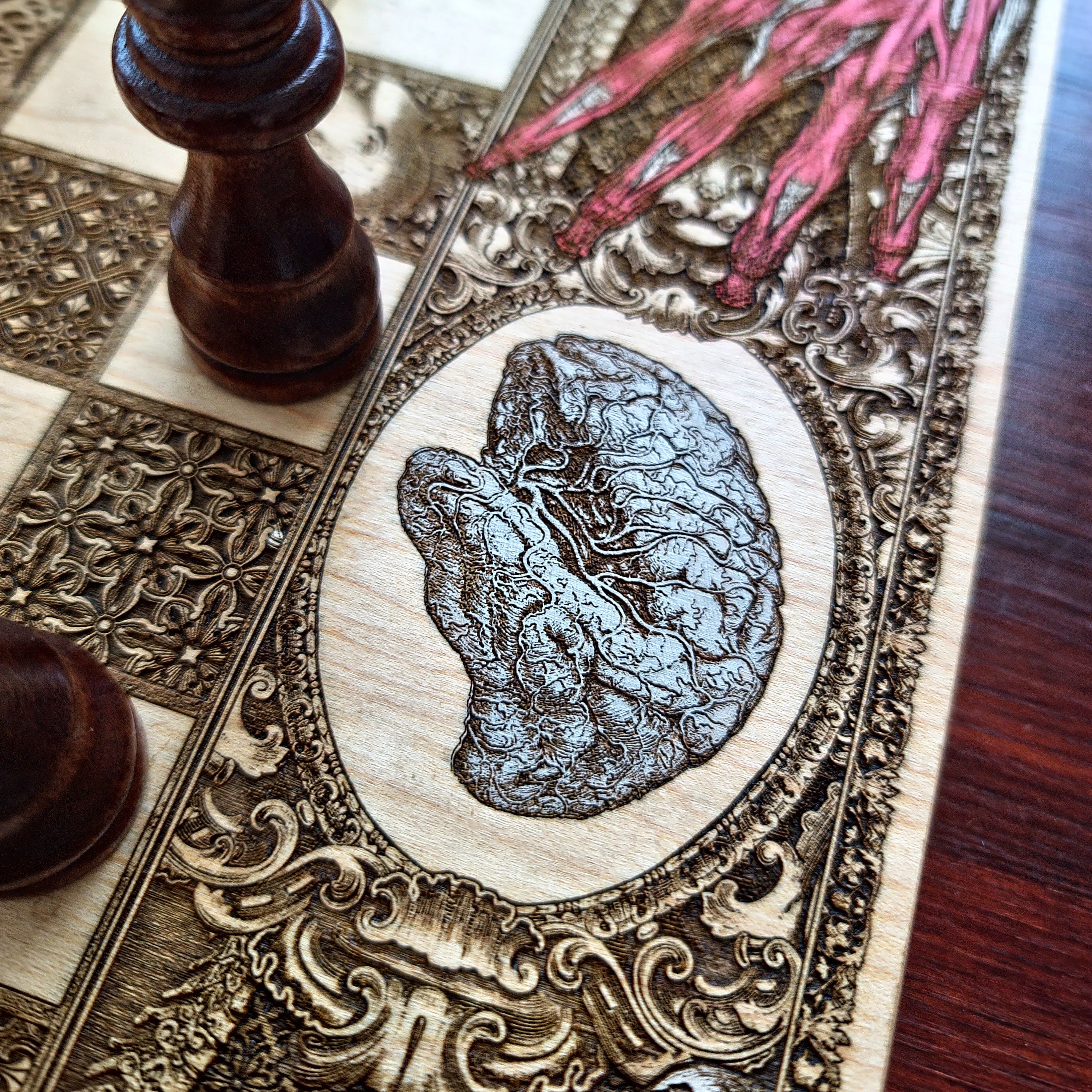 Human Anatomy Chess Board - A3 Large Size