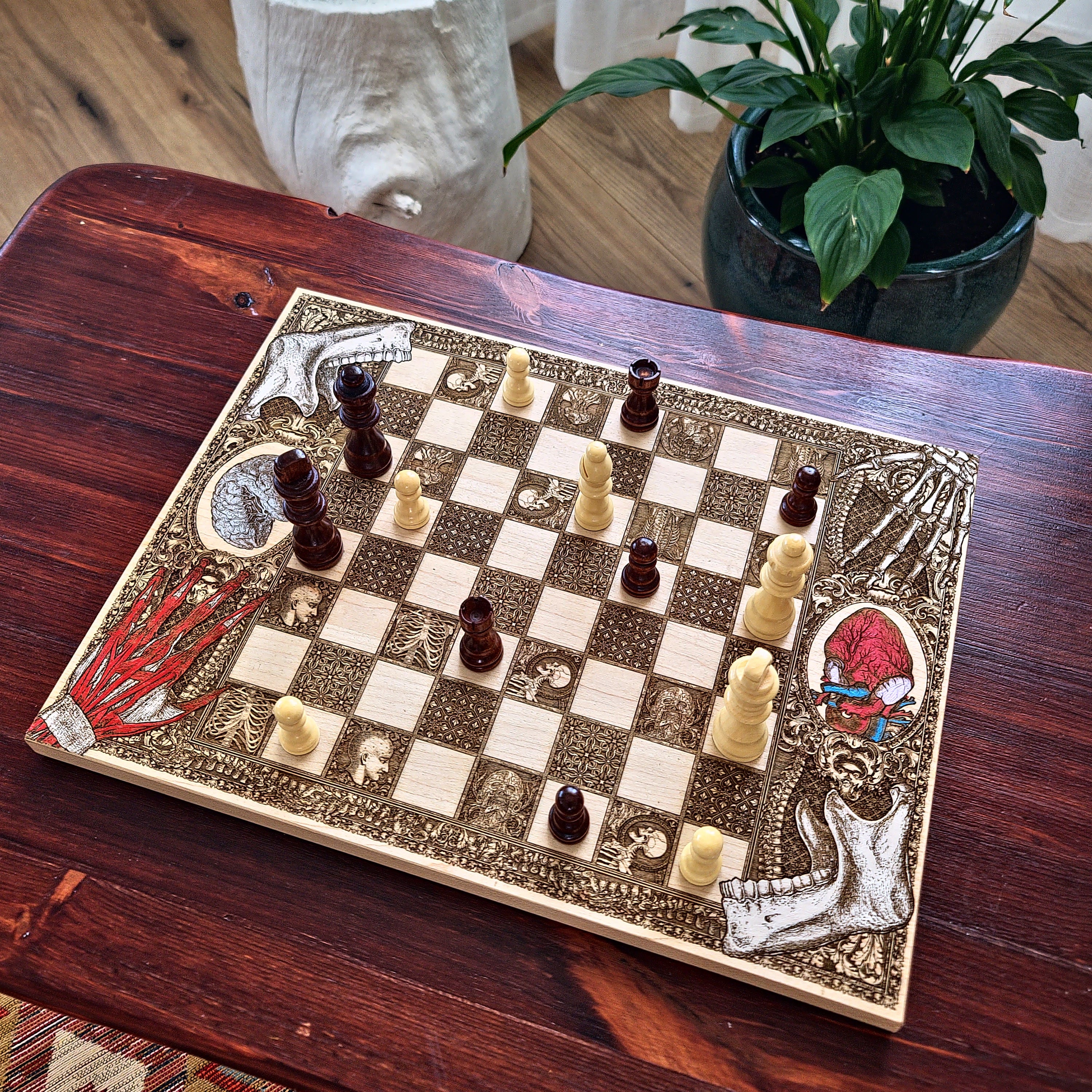 Human Anatomy Chess Board - A3 Large Size