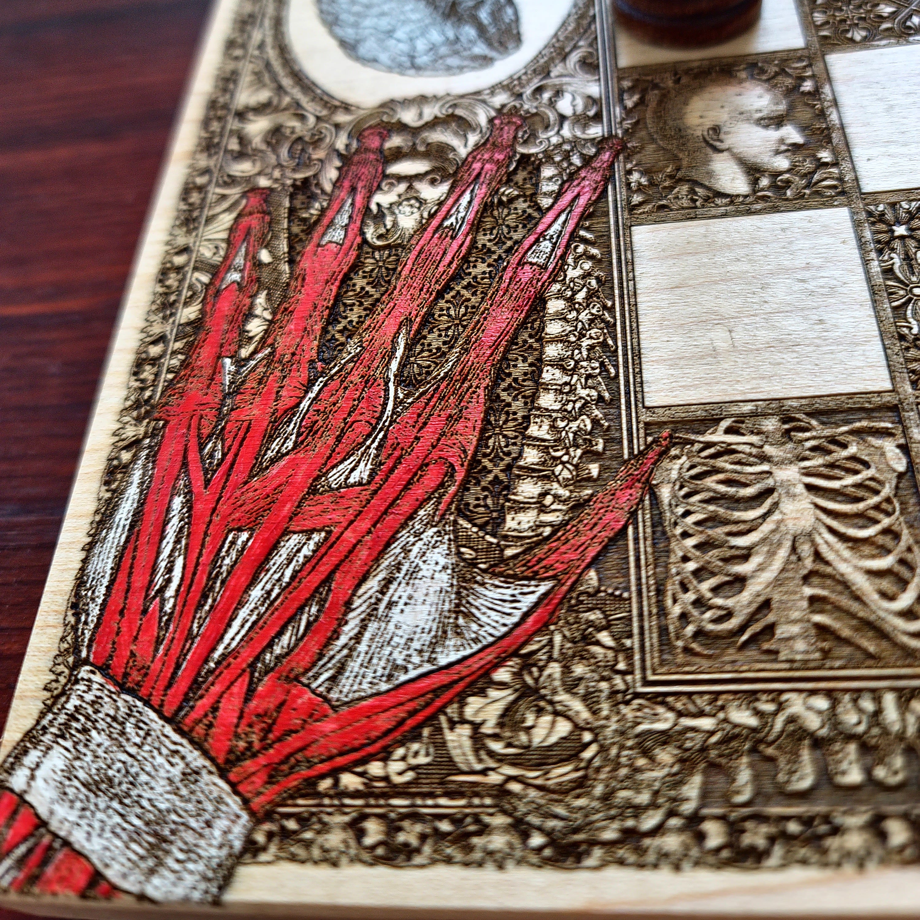 Human Anatomy Chess Board - A3 Large Size