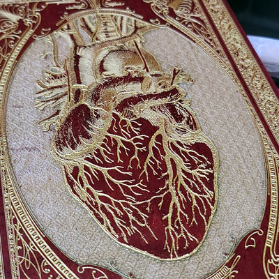 Gothic anatomical heart wall decor in red, horror-inspired wood panel.