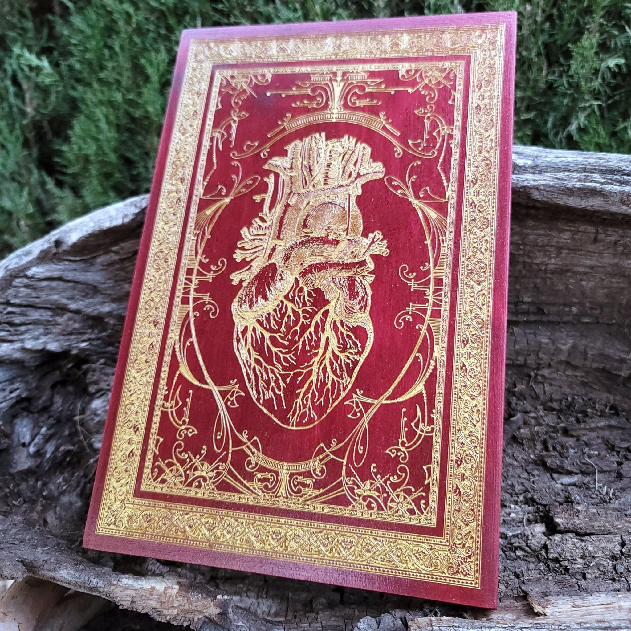 Unique red anatomical heart wall piece for alternative, dark romantic decor.