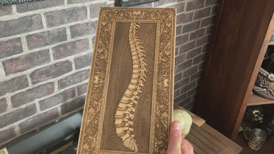 Spinney - Großer Ahorn