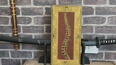 Chiropractor wall art with red anatomical spine illustration