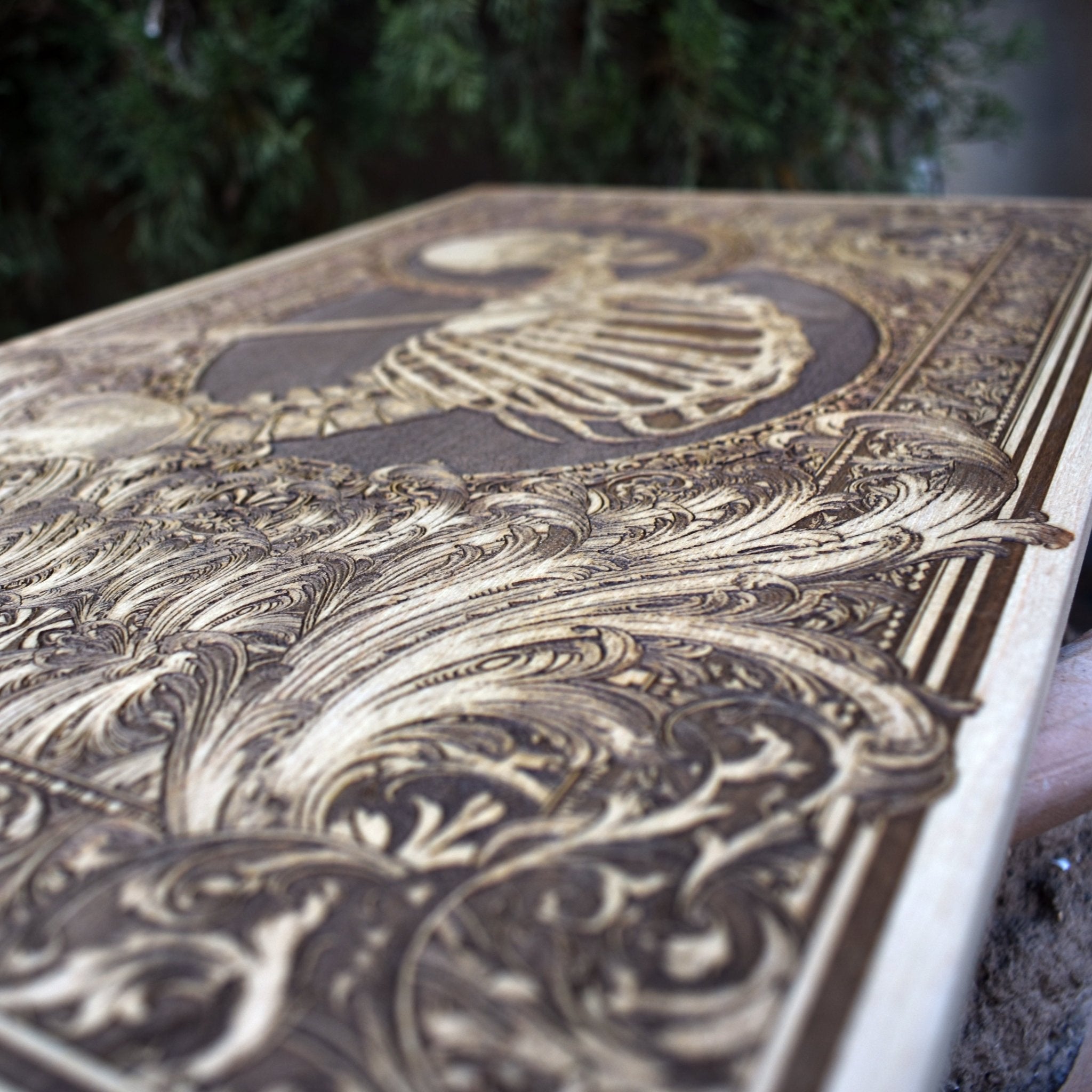 Stumbled-Limited Edition - Extra Large