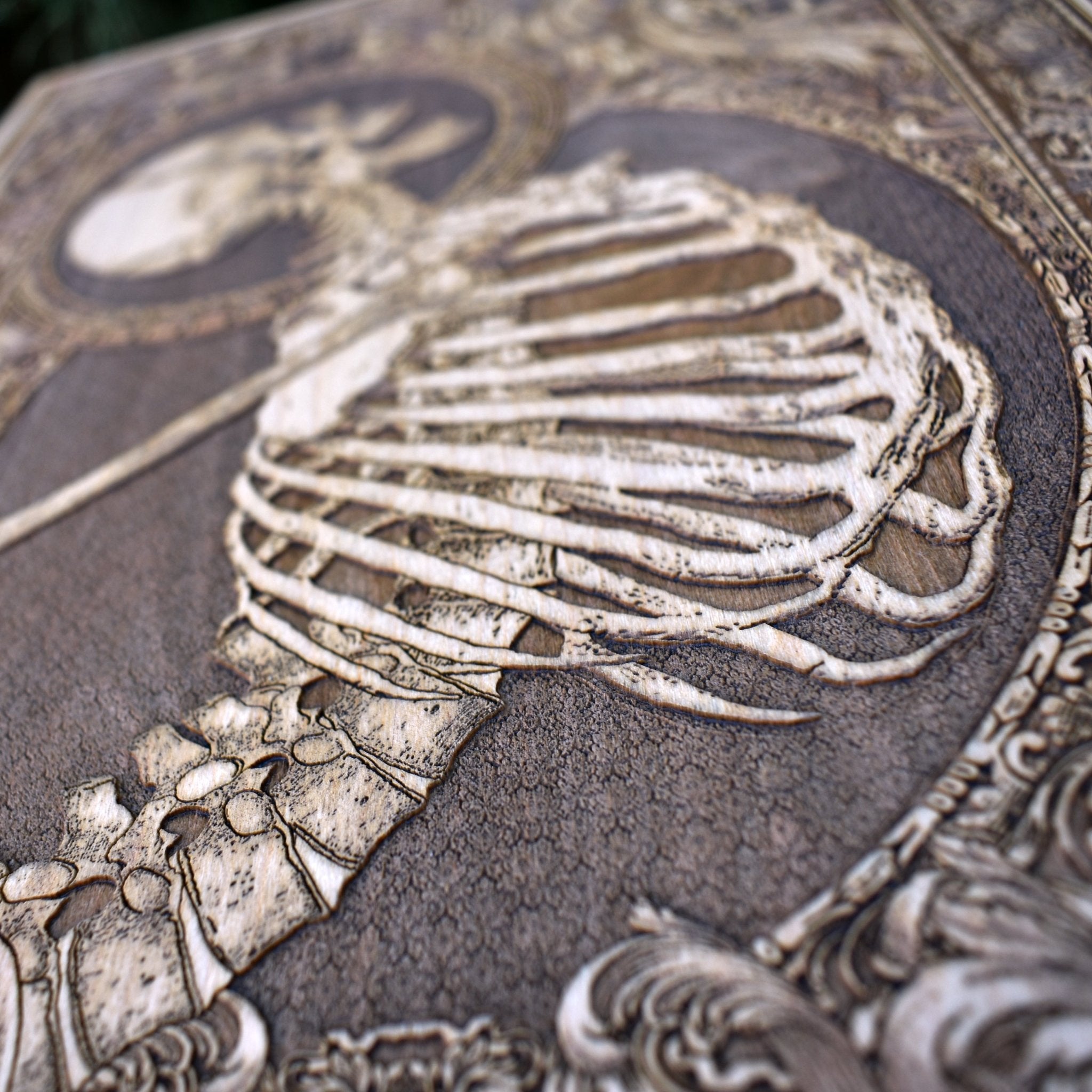 Stumbled-Limited Edition - Extra Large