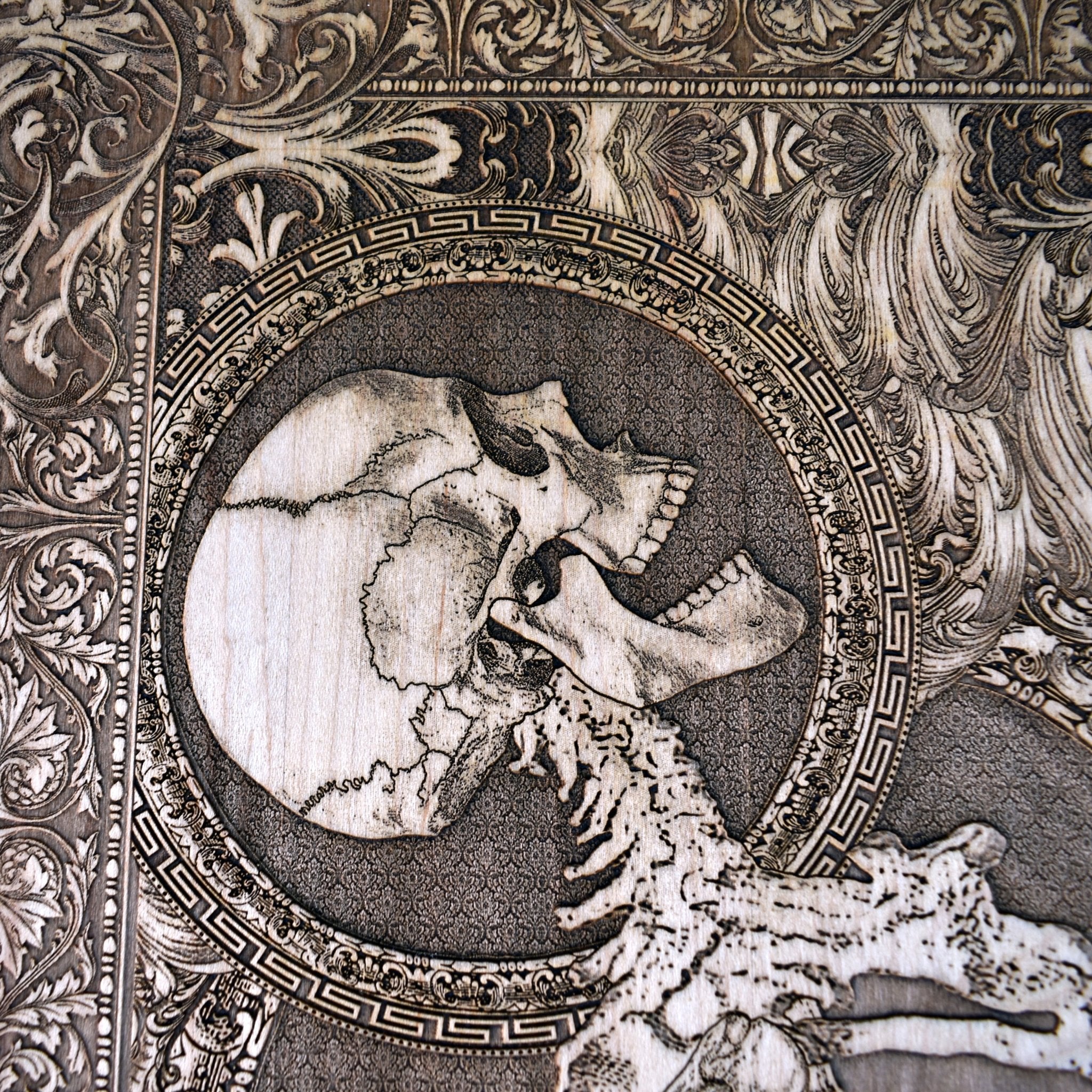 Stumbled-Limited Edition - Extra Large