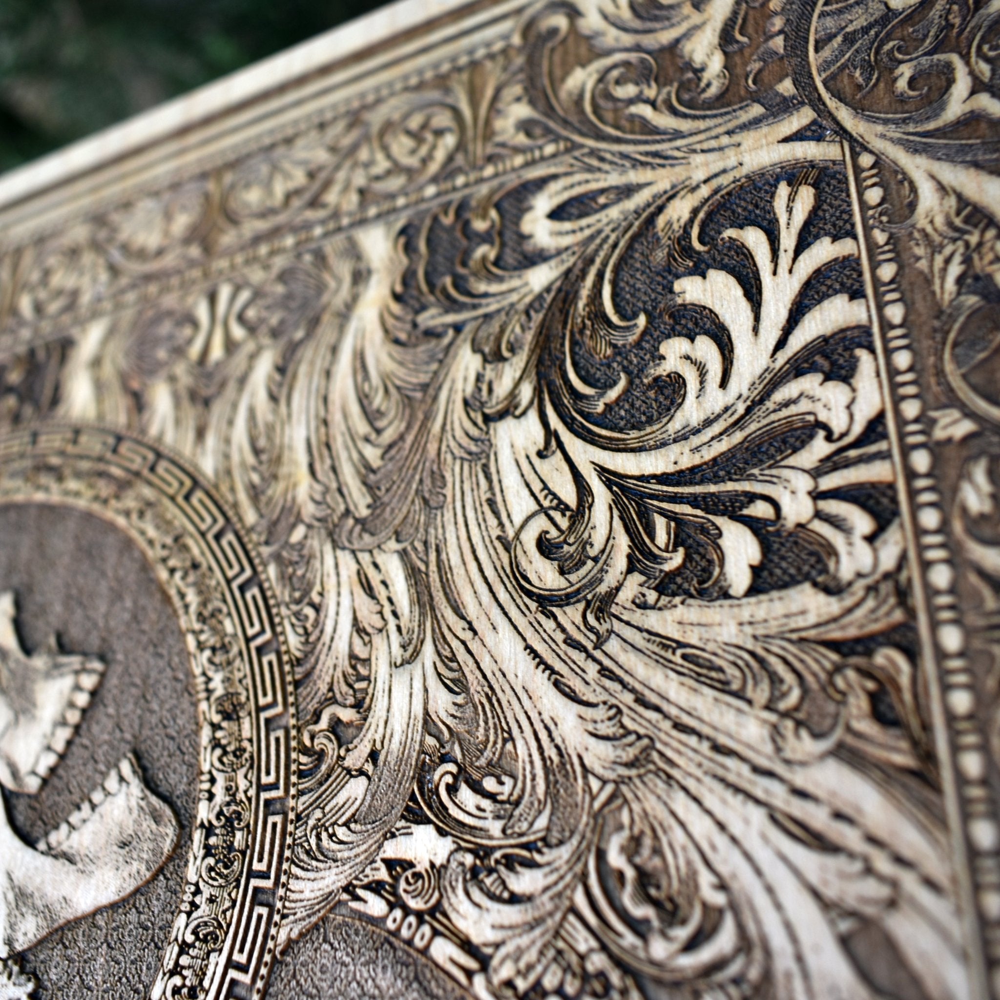 Stumbled-Limited Edition - Extra Large