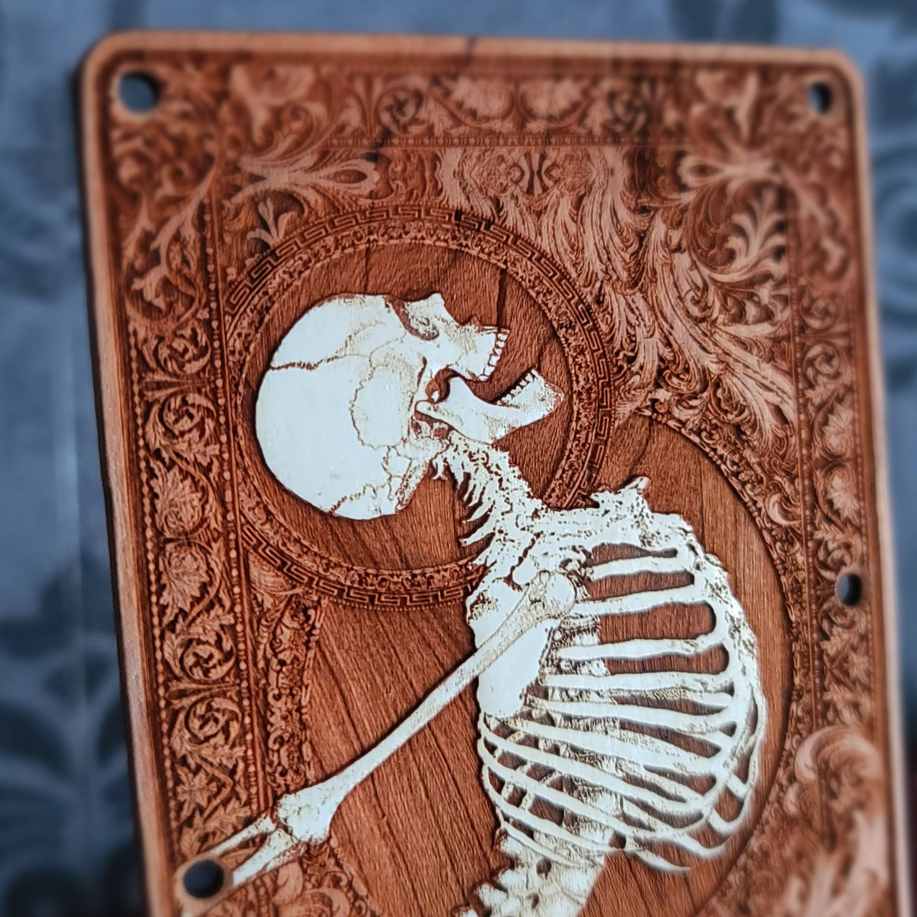 Stumble Painted Tremolo Cover für Stratocaster E-Gitarre