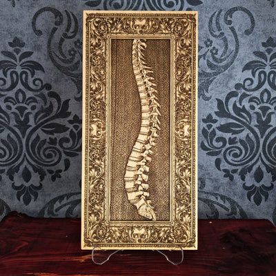 Handcrafted human spine wood engraving, laser-engraved on solid maple wood without paint. A medical-themed gift for doctors, chiropractors, anatomy lovers, and healthcare professionals.