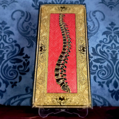 Decorative box with a spine design on a red background, placed on a blue patterned fabric.