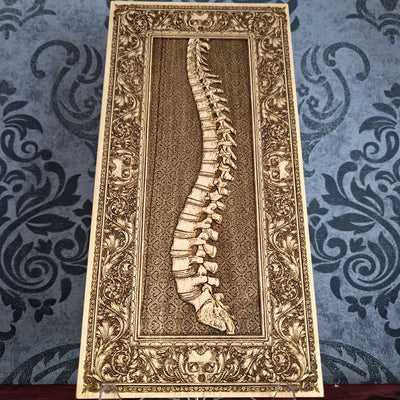 Handcrafted human spine wood engraving, laser-engraved on solid maple wood without paint. A medical-themed gift for doctors, chiropractors, anatomy lovers, and healthcare professionals.