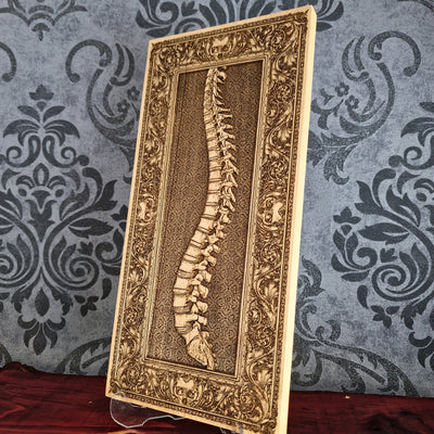 Handcrafted human spine wood engraving, laser-engraved on solid maple wood without paint. A medical-themed gift for doctors, chiropractors, anatomy lovers, and healthcare professionals.
