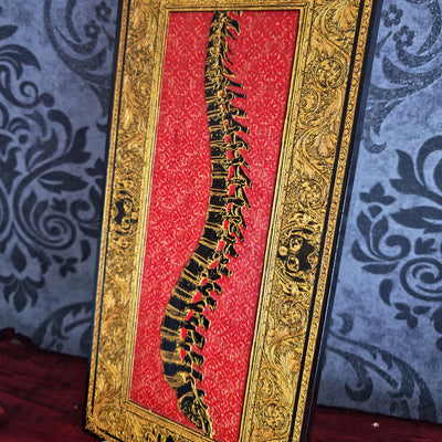 Spinney – Handmade Wood Art Gift for Doctors & Surgeons (Maple, Black&Gold)