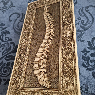 Handcrafted human spine wood engraving, laser-engraved on solid maple wood without paint. A medical-themed gift for doctors, chiropractors, anatomy lovers, and healthcare professionals.