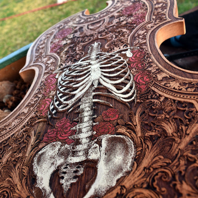 human anatomy artwork