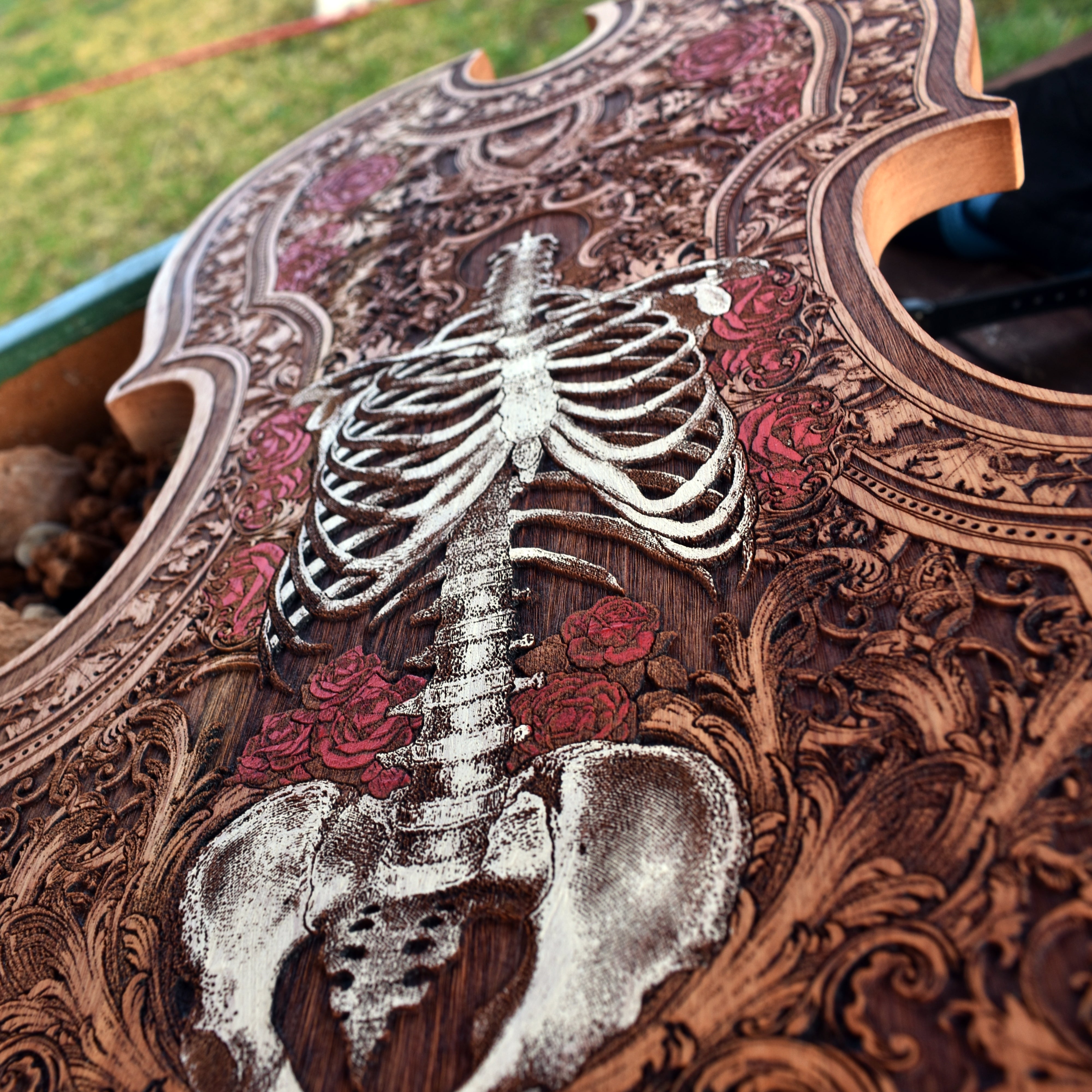 human anatomy artwork