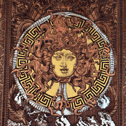 Medusa Head - Large