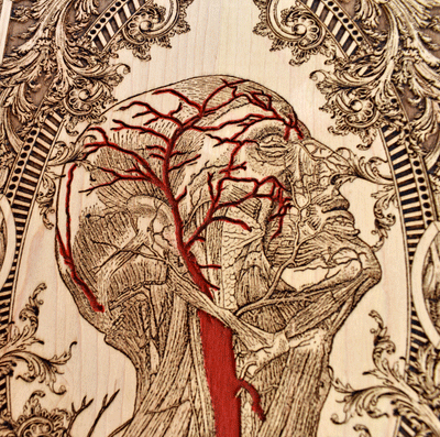 Med student graduation gift with engraved anatomy artwork