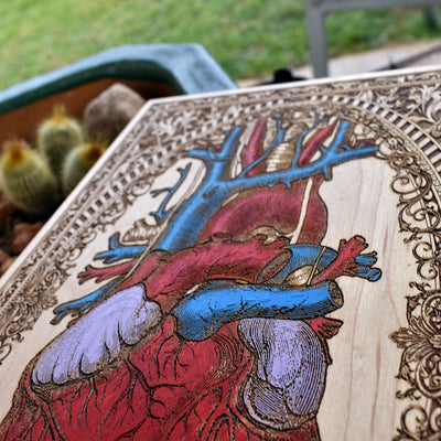 Romantic anatomical heart painting – love and anatomy decor