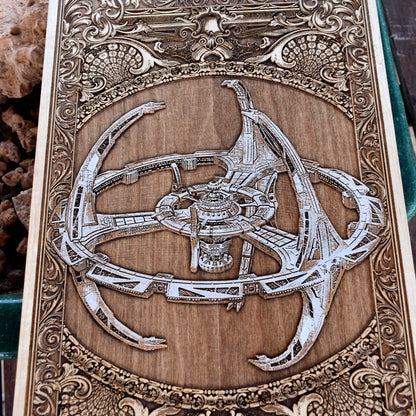 Anatomical spaceship illustration hand-painted on rustic wood board.