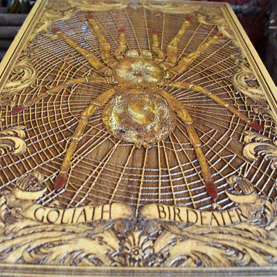 Wood wall art with a lifelike Goliath Birdeater tarantula design.