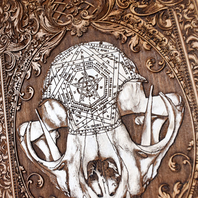 Cat skull horror decor with hand-painted detailing on rustic wooden plaque.