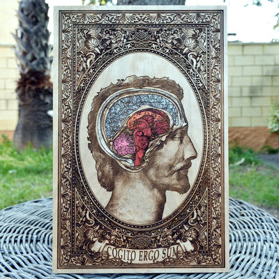 Vintage anatomical art hand-painted on wood – gothic wall decor.
